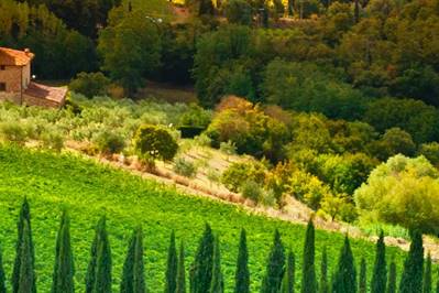 Best Italy twin-centre wine holidays