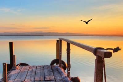 Best natural history museums in Lombardy